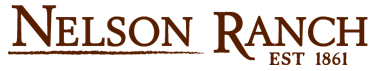 Chameleon Logo